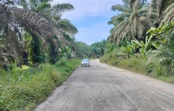 Kulai, Johor 81000