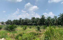 Tanjung Malim, Selangor 44000