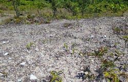 Ulu Tiram, Johor 81800