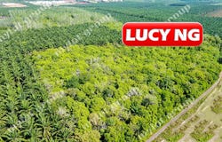 Pendang, Kedah 6720