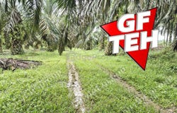 Selama, Perak 0