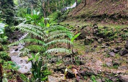 Jalan Sungai Penchala, Kampung Sungai Penchala, Kuala Lumpur 60000