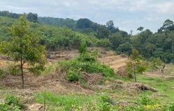 Bentong, Pahang