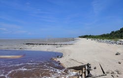 Sekinchan, Selangor