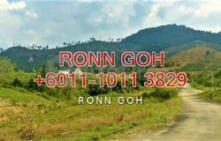 Raub, Pahang 0