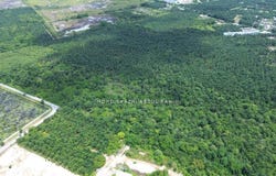 Kuala Langat, Selangor 41200