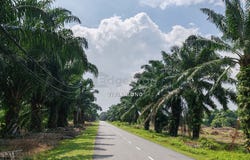 Off Jalan Keretapi lama, Kuala Selangor, Selangor 45800