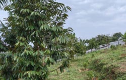 Batang Kali, Selangor 44200