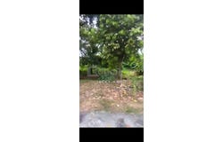 Klang, Selangor 42100