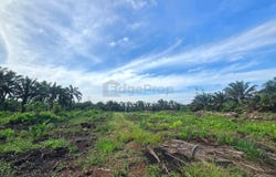 Pontian, Johor 82000