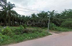 Pekan Nanas, Johor 81500