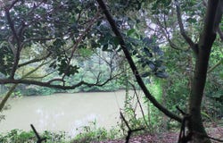 Bentong, Pahang