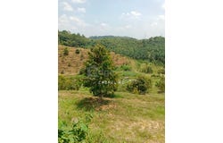 Raub, Pahang 26700