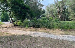 Bukit Jelutong, Selangor 0