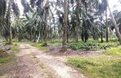 Kuala Langat, Selangor 42700