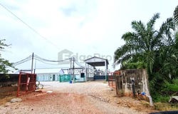 Kuala Selangor, Selangor 45600
