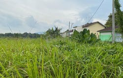 Kulai, Johor 81000