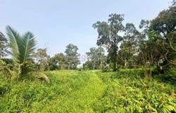 Pontian, Pontian, Johor 82000