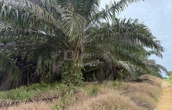 Kulai, Johor 81000