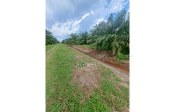 Banting, Selangor 42700