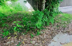 Kajang, Selangor 43000