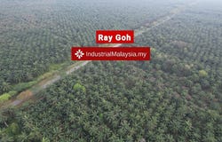 Banting, Selangor 42700