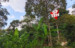 Bukit Jambul, Penang