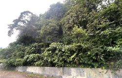 Jalan Ukay, Ampang, Selangor 68000