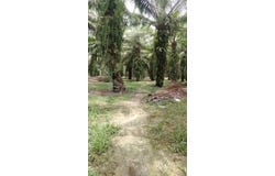 Jenjarom, Selangor 42600