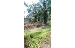 Jenjarom, Selangor 42600