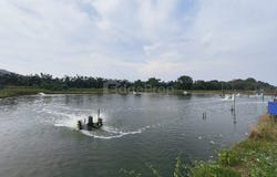 Batu Pahat, Johor Bahru, Batu Pahat, Johor