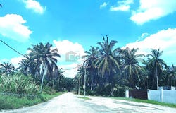 Kuala Selangor, Selangor 45700