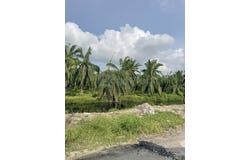 Jalan Keruing, Jalan Kruing, Lorong Keruing, Simpang Ampat, Penang 14100