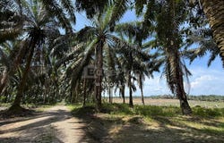 Simpang Renggam, Johor 86200