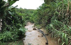 Bentong, Pahang 28700