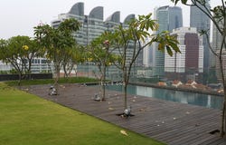 Mont Kiara, Kuala Lumpur 55000