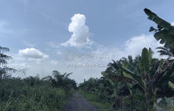 Kuala Langat, Selangor 41200