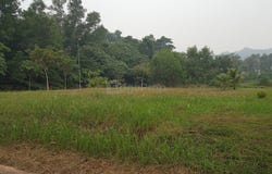 Jalan Rimba Riang 9/12, Kota Damansara, Selangor 47810