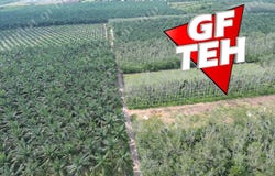 Pendang, Kedah 6720