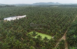 Kluang, Johor 86200