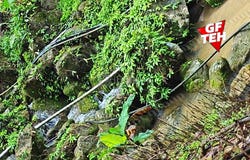 Balik Pulau, Penang 11000