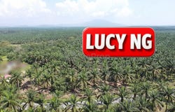 Larut Matang, Perak 34100