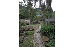 Jalan Kampung, Bentong, Pahang 28750