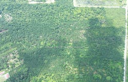 Kuala Langat, Selangor 41200