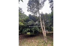 Batang Kali, Selangor 48500