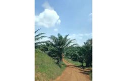 Muar, Johor 84000