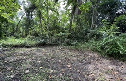 Jalan Ukay, Ampang, Selangor 68000