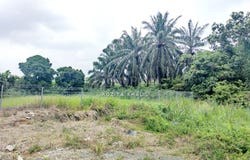 Jalan Vista, Sepang, Selangor
