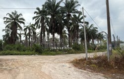 Kuala Selangor, Selangor 45600