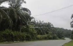 Kuala Kangsar, Perak 31100
